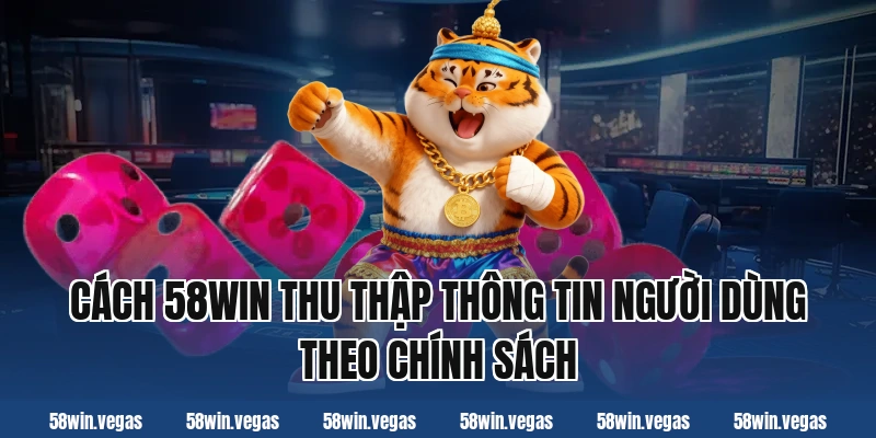 Cách 58win thu thập thông tin người dùng theo chính sách