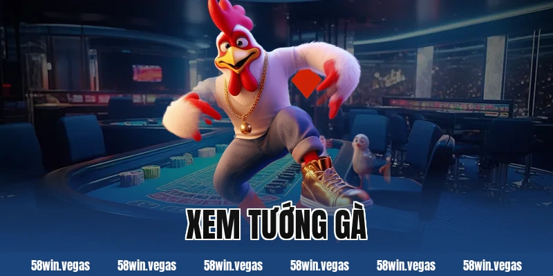xem tướng gà