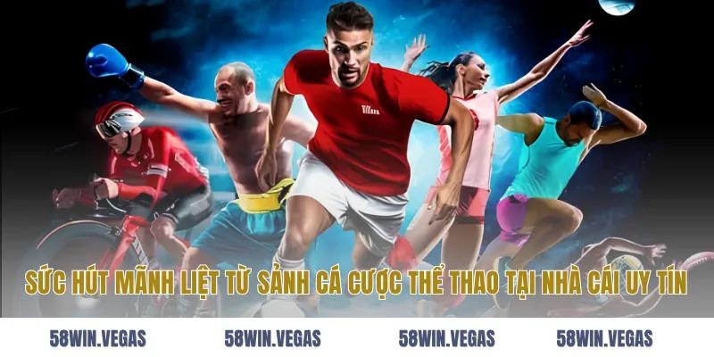Sức hút mãnh liệt từ sảnh cá cược thể thao tại nhà cái uy tín